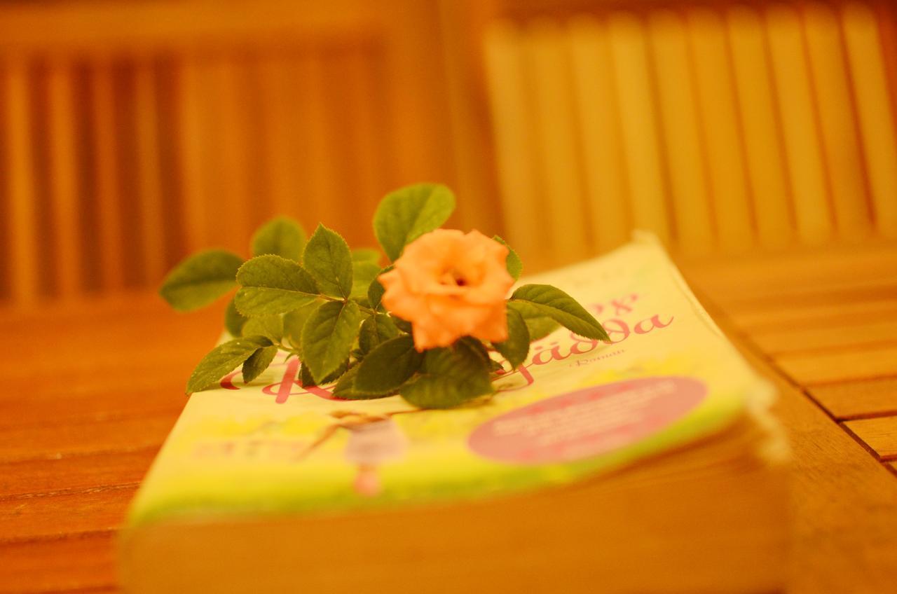 Panda Garden Homestay ホイアン エクステリア 写真